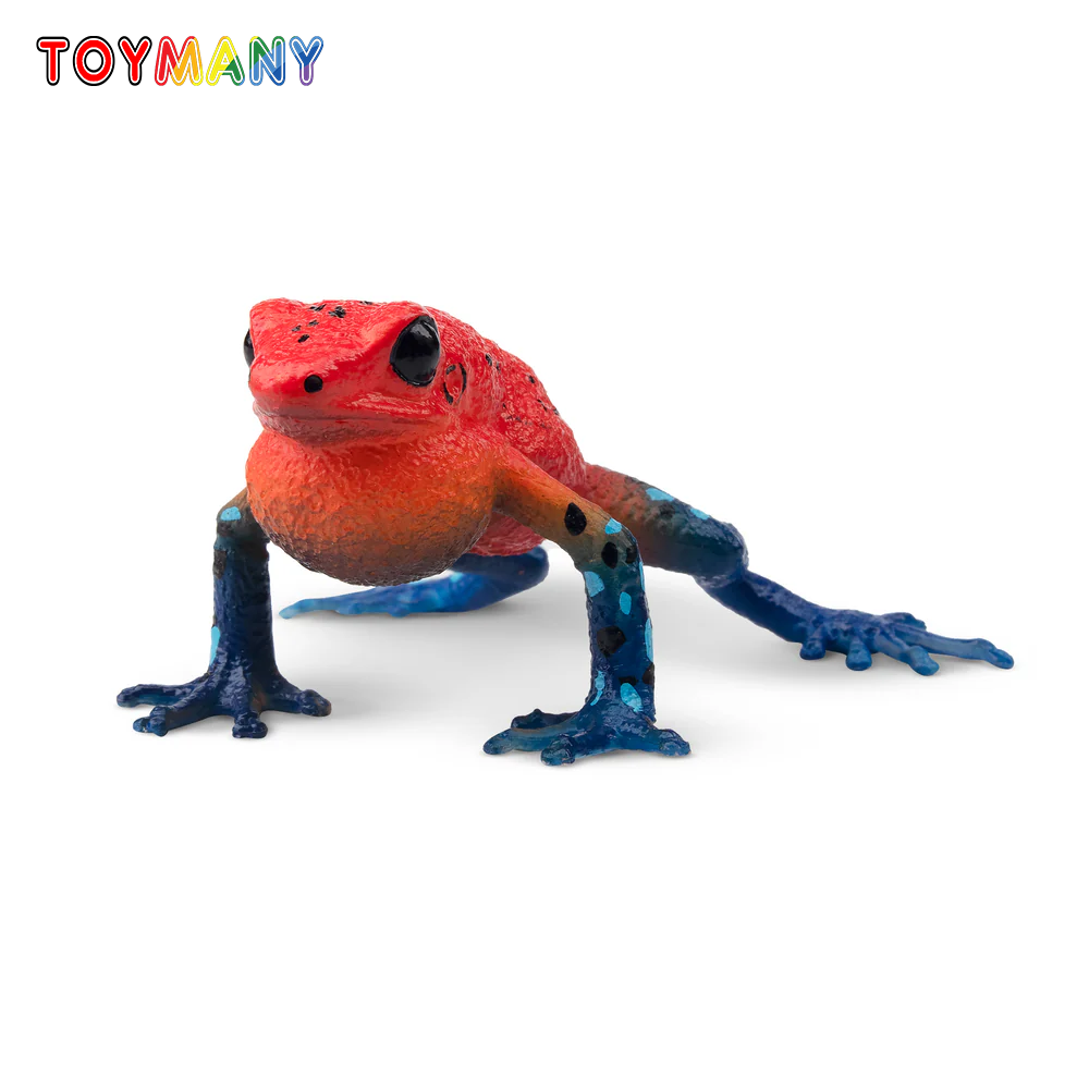 Kids Toys Variety - Zabawki Toymany Symulacja Żaba Truskawkowa Kraina