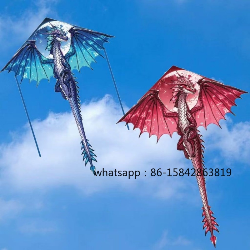 Kite Wind Outdoor - Nowe latawce w kształcie pterodaktyli, profesjonalne