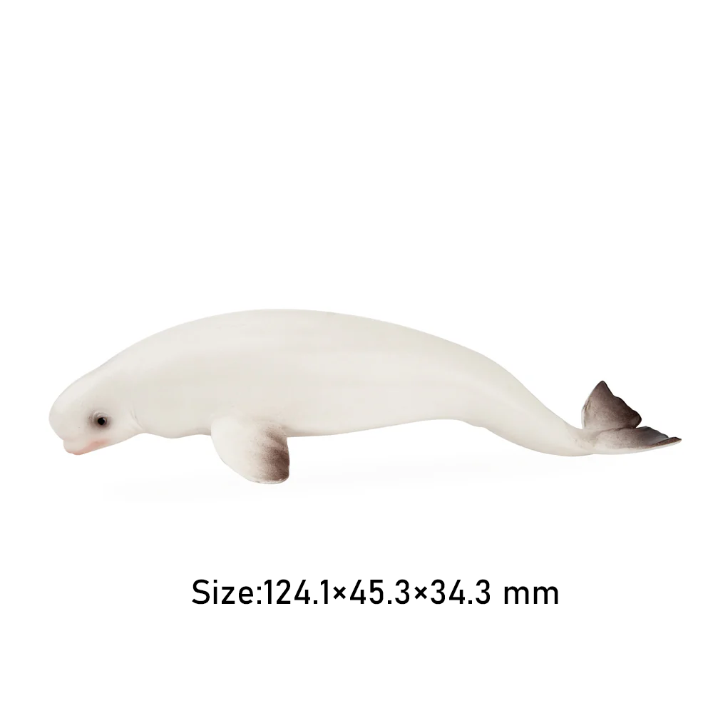 Toymany Symulacja Wieloryb Bel – Kids Toys Variety recenzja i cena