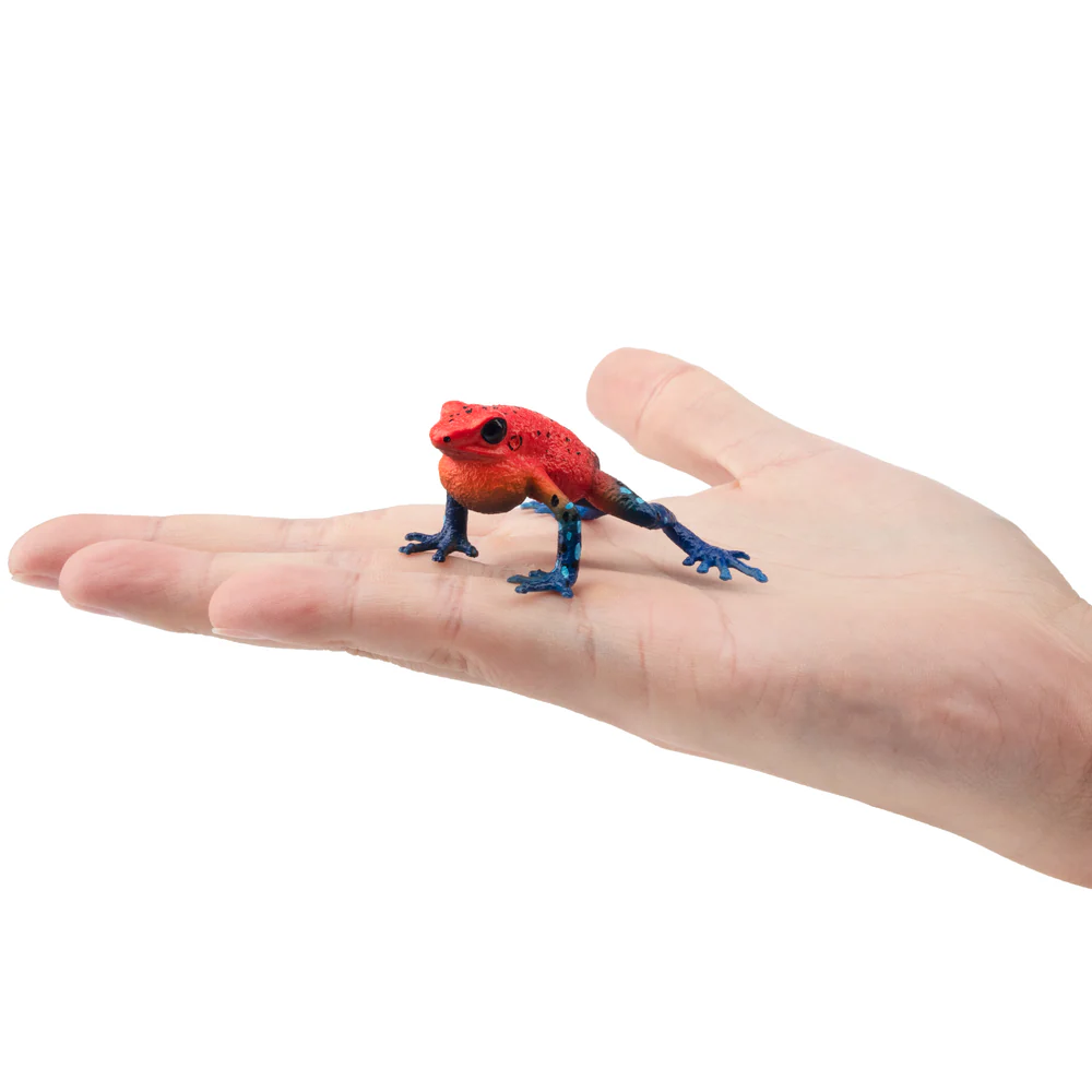 Zabawki Toymany Symulacja Żaba – Kids Toys Variety recenzja i cena