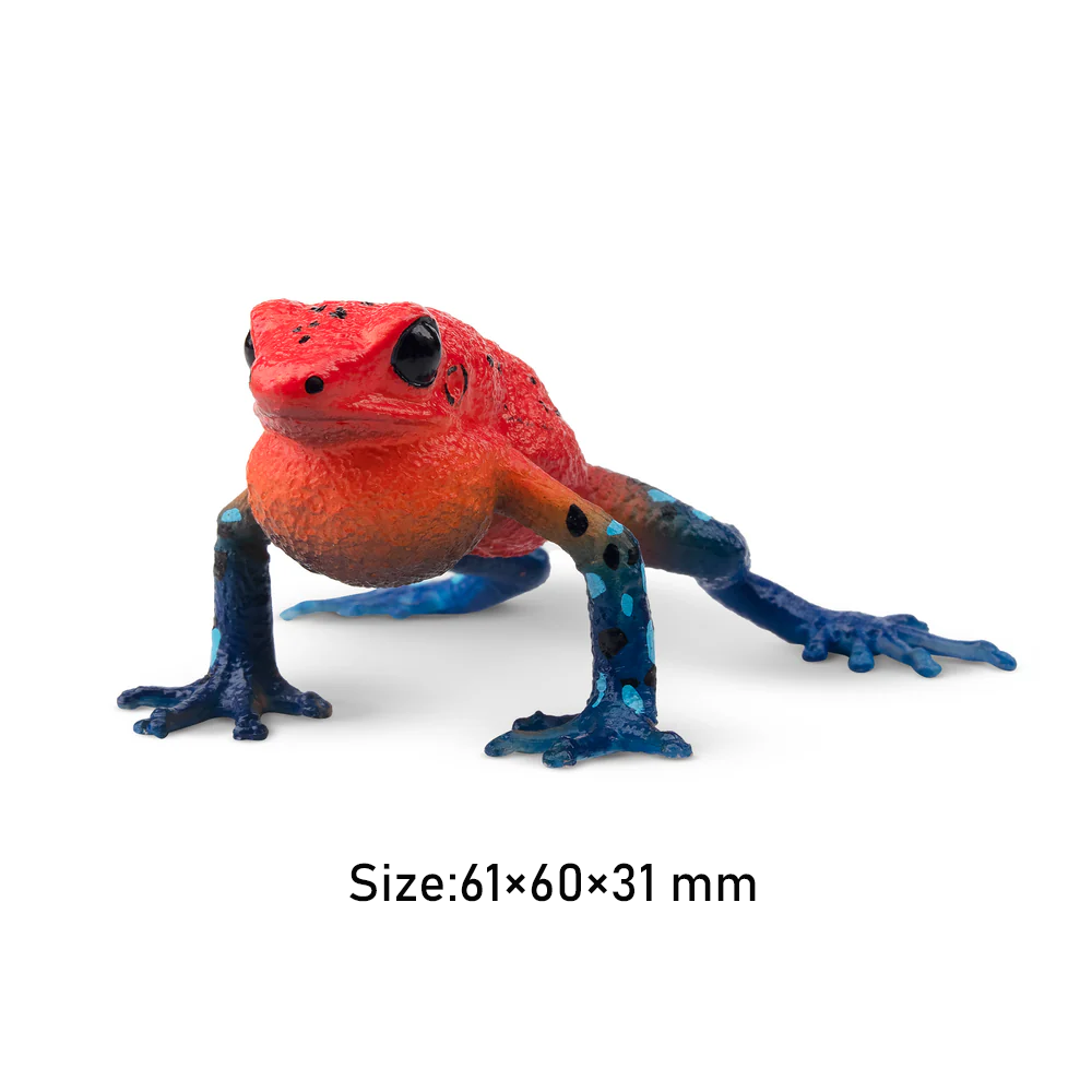 Zabawki Toymany Symulacja Żaba – Kids Toys Variety recenzja i cena