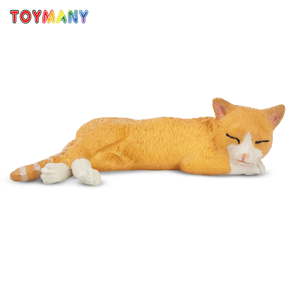 Toymany symulacja leżący pomar – Kids Toys Variety recenzja i cena