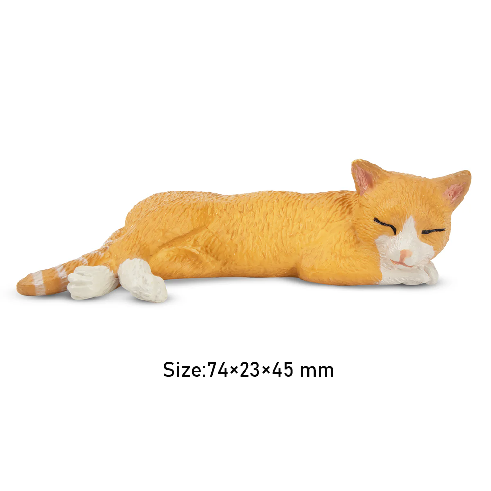 Toymany symulacja leżący pomar – Kids Toys Variety recenzja i cena